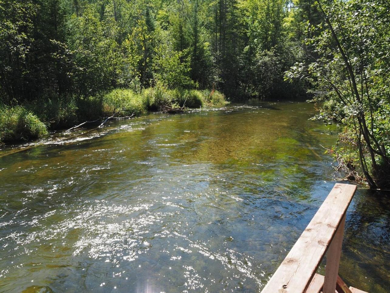 Sleeping Bear Riverside Cabins - Cabin #1 Honor Esterno foto